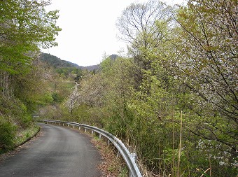 長い車道