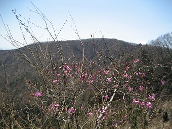 武川岳