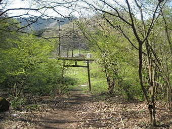 浅間神社鳥居