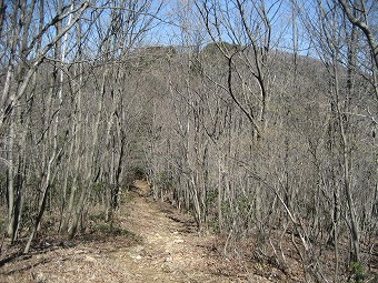 武川岳へ