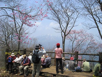 鳴虫山　山頂