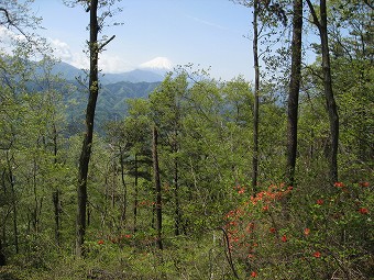 富士山