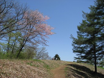 扇山の山頂へ