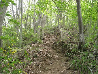 百蔵山への急登