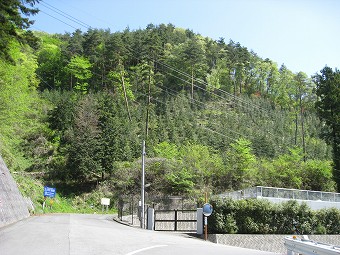 扇山南尾根　登山口