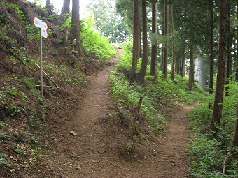 浄水場・山ノ神　　分岐