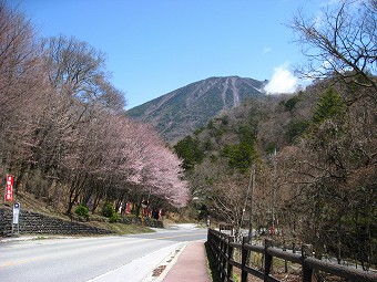 竜頭の滝バス停