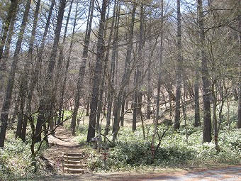 高山　登山口