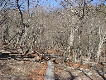 中禅寺湖周遊道路