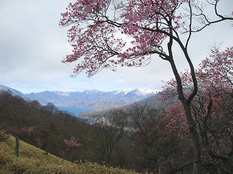 白根山