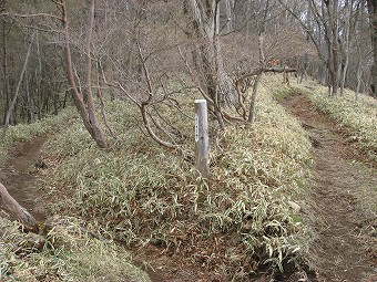 茶ノ木平方面分岐