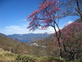 白根山