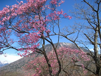 男体山