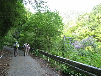 藤の花を見ながら