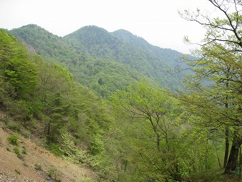 丹沢三峰山