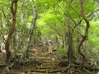 円山木ノ頭へ