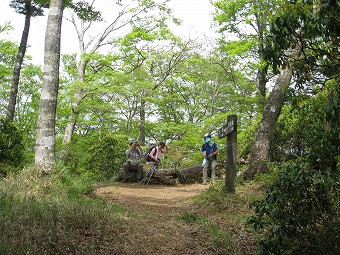 円山木ノ頭