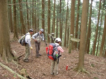 高畑山分岐