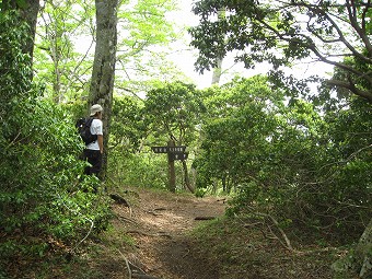 堂平分岐