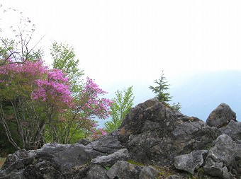 白岩小屋手前の岩場