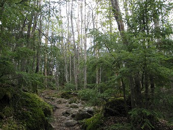 白岩山へ