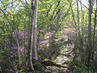 長沢山へ