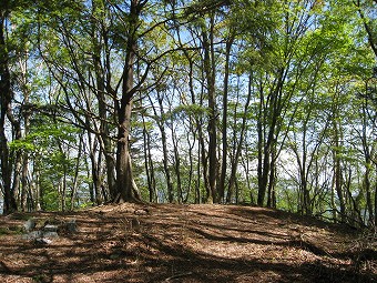 水松山　山頂