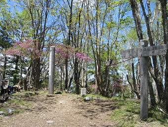 酉谷山　山頂