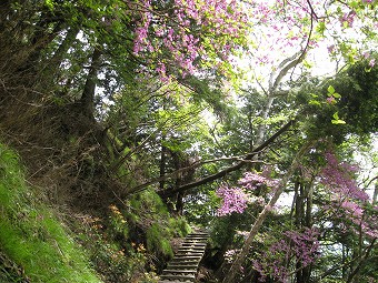 七跳山　巻き道