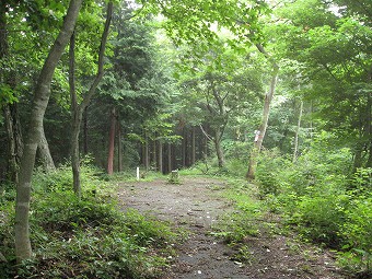 矢平山　山頂