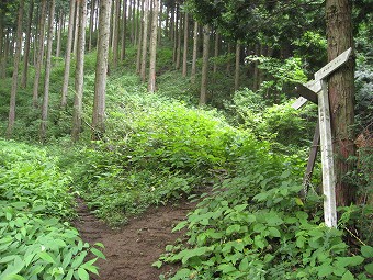 新大地峠