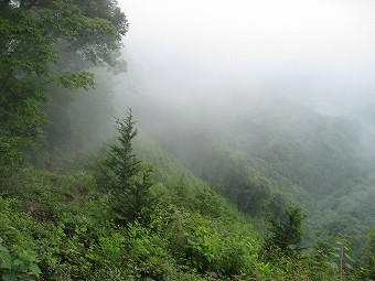 細野山の東側