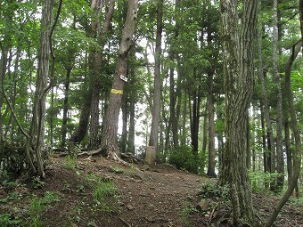 鳥屋山　山頂