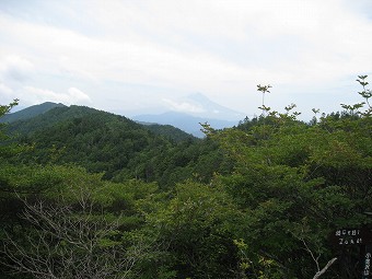 小金沢山