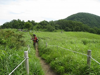 湯ノ沢峠の花畑