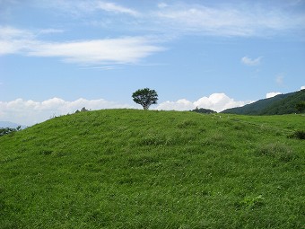 緑の草原