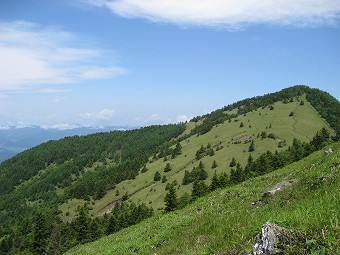 熊沢山