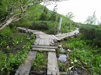 風吹大池分岐