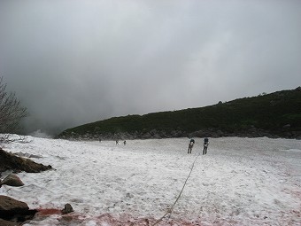 雪田