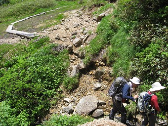 赤男山の水場