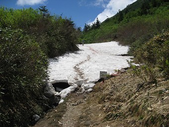 水平道・山頂道の分岐手前