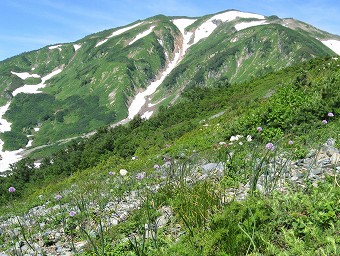 朝日岳