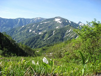 雪倉岳とミズバショウ