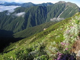 赤石岳を見つつ