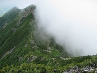 聖岳東尾根