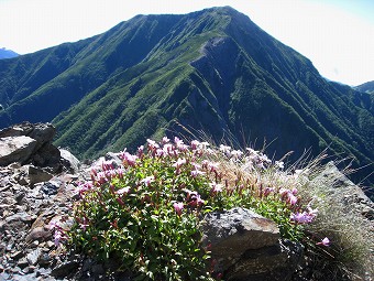 兎岳から見る聖岳