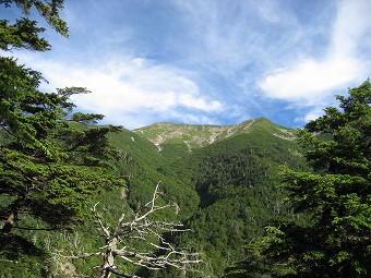 岩頭滝見台