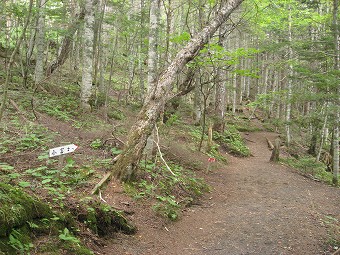 小富士へ