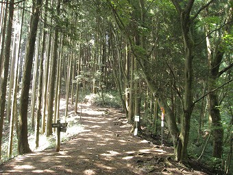 芥場峠