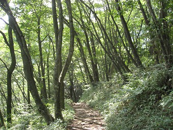 大岳山へ